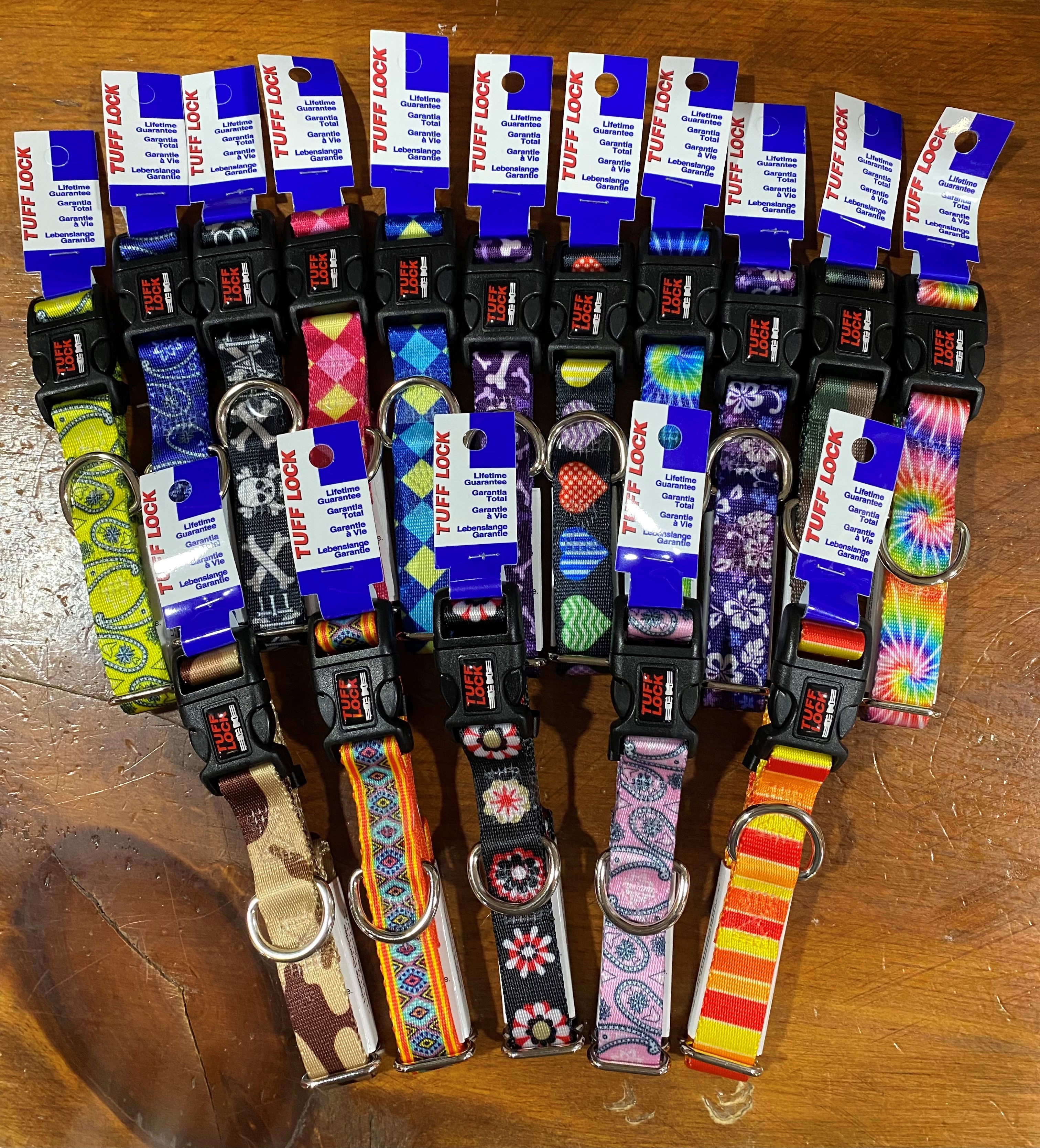 Camp Bow Wow Carmel, Where a Dog can be a Dog