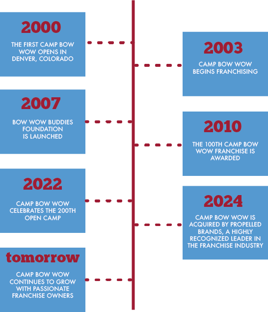 Camp Bow Wow timeline from 2000 to tomorrow