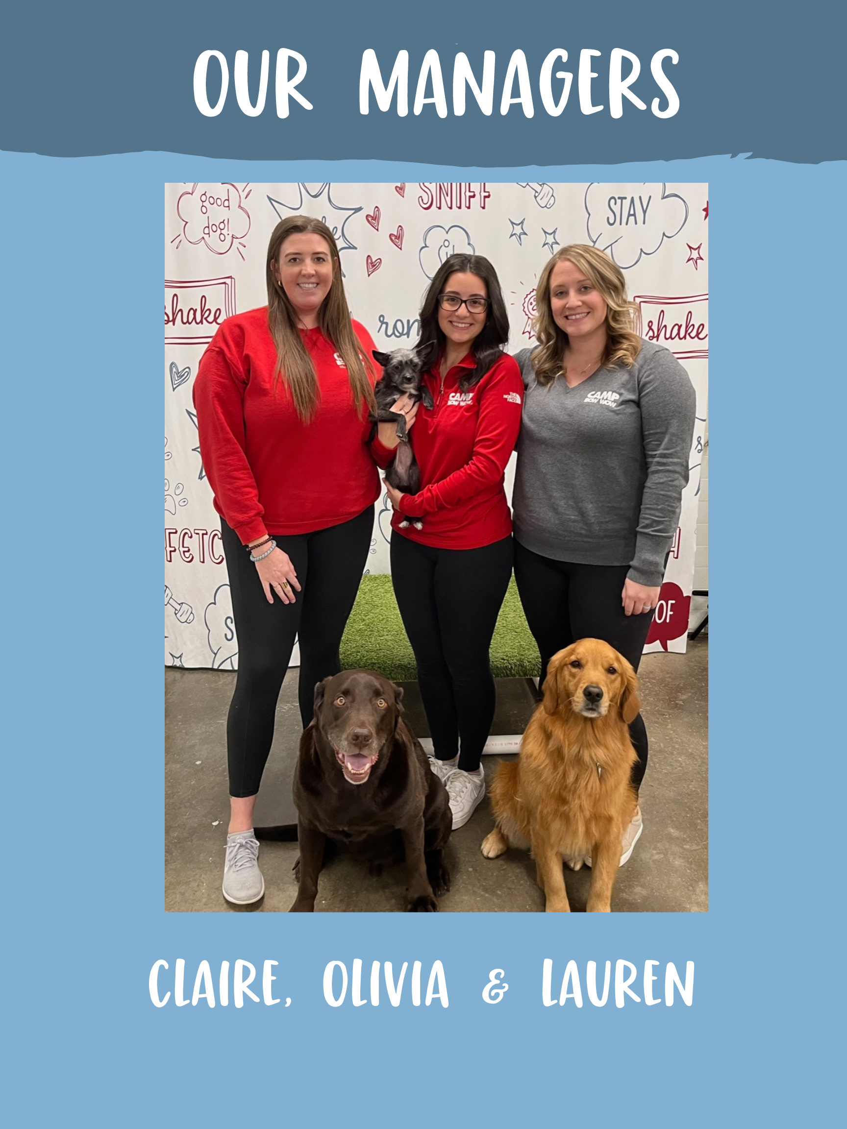 photo of Camp Bow Wow Delaware North managers Claire, Olivia, & Lauren with three dogs