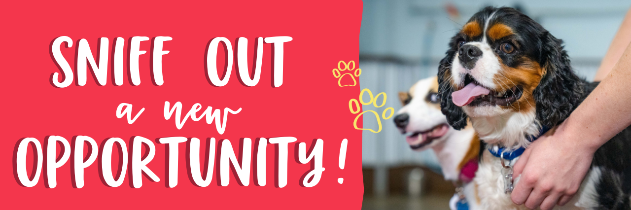 explore our new opportunity