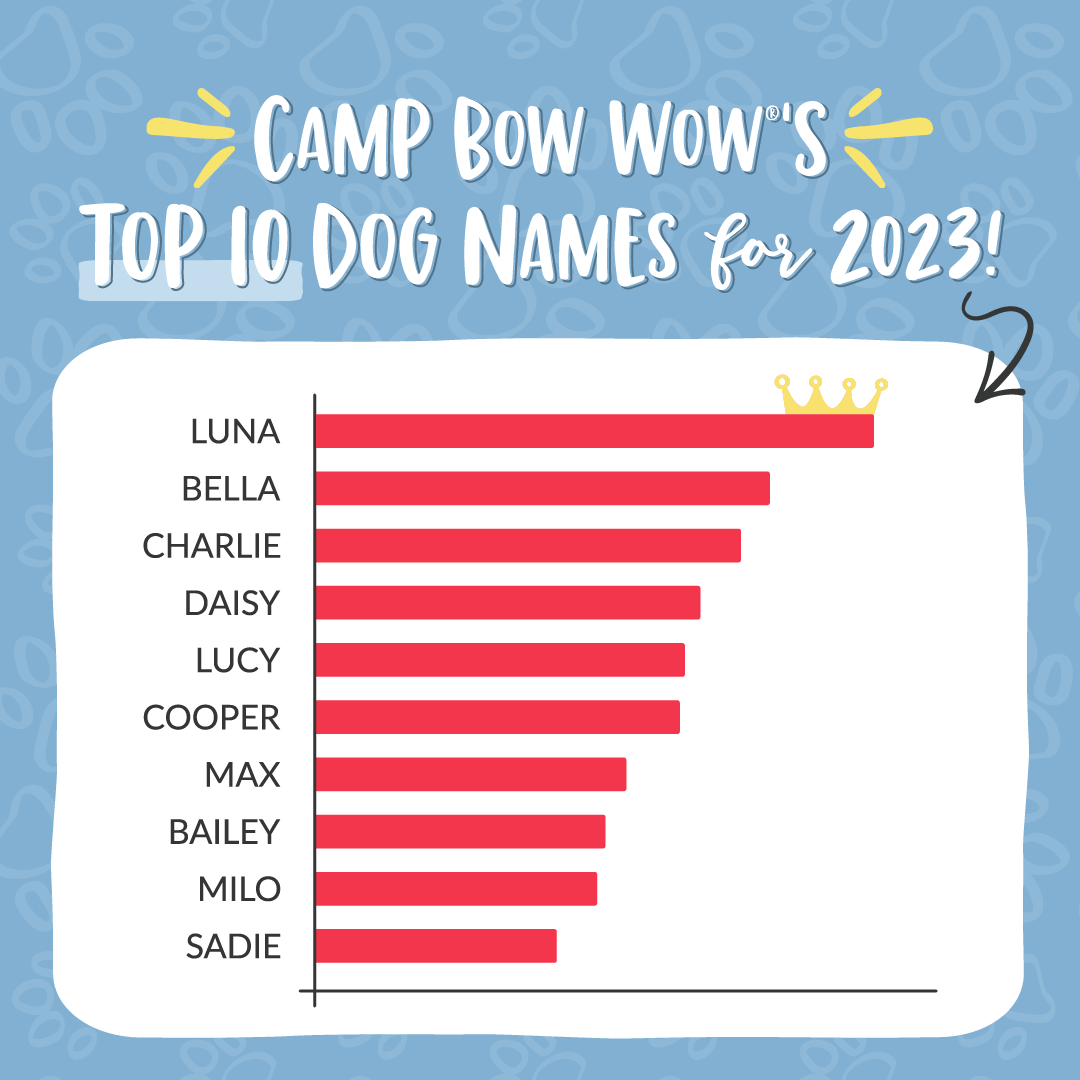 2023 Top Dog Names