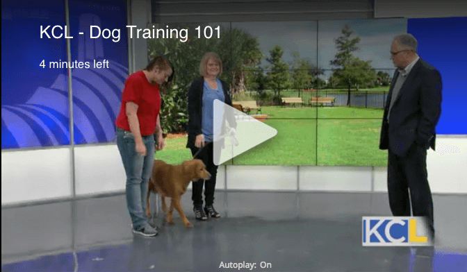 KCL Dog Training 101 Video Link KCL Dog Training 101 Video Link
