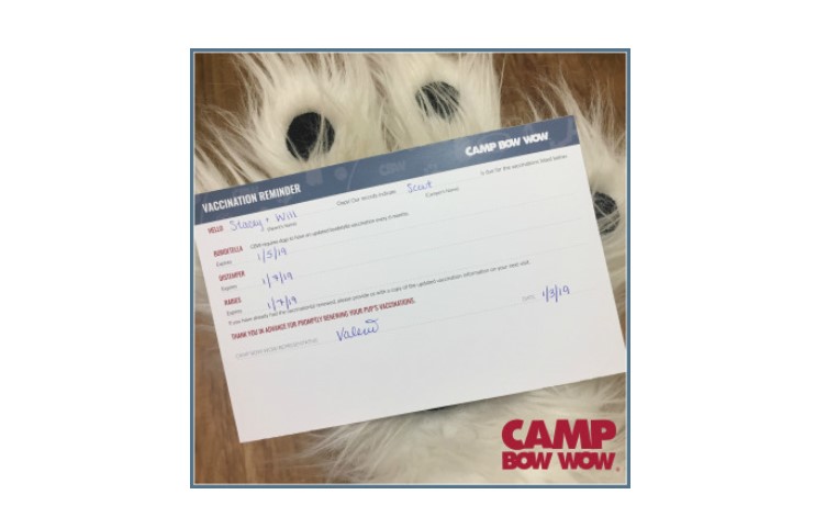 Camp bow wow vaccine sale requirements