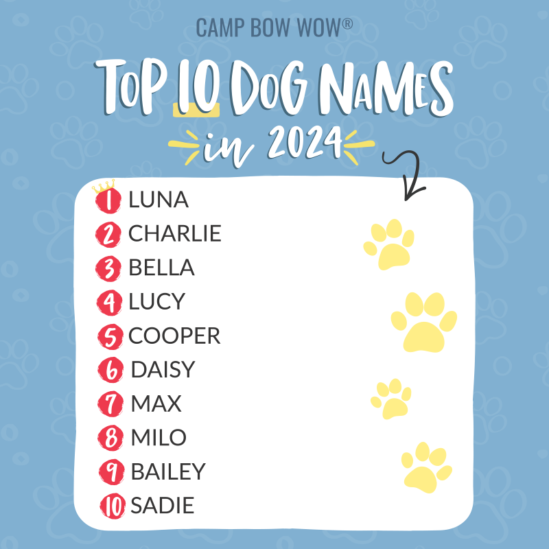 Camp Bow Wow's Dog Name Trends